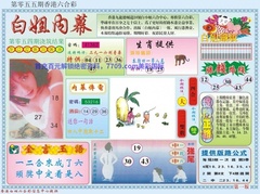 白小姐内幕A