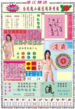 濠江精选B